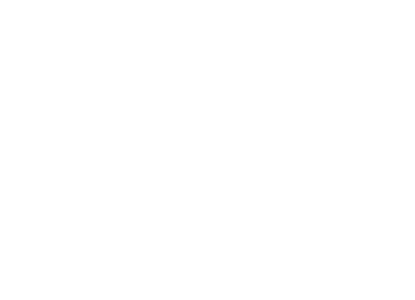 Plek Logo